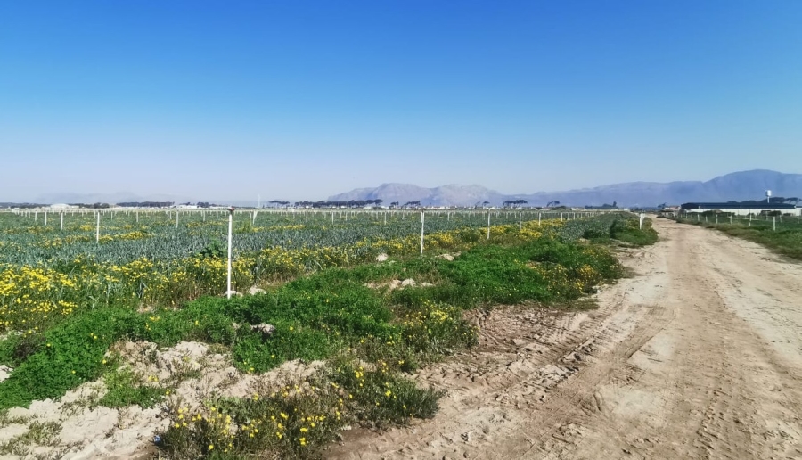 Commercial Property for Sale in Schaap Kraal Western Cape